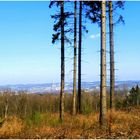 Blick vom ca. 345 m hohen Ehrenberg auf Wuppertal-Langerfeld, wo ich wohne