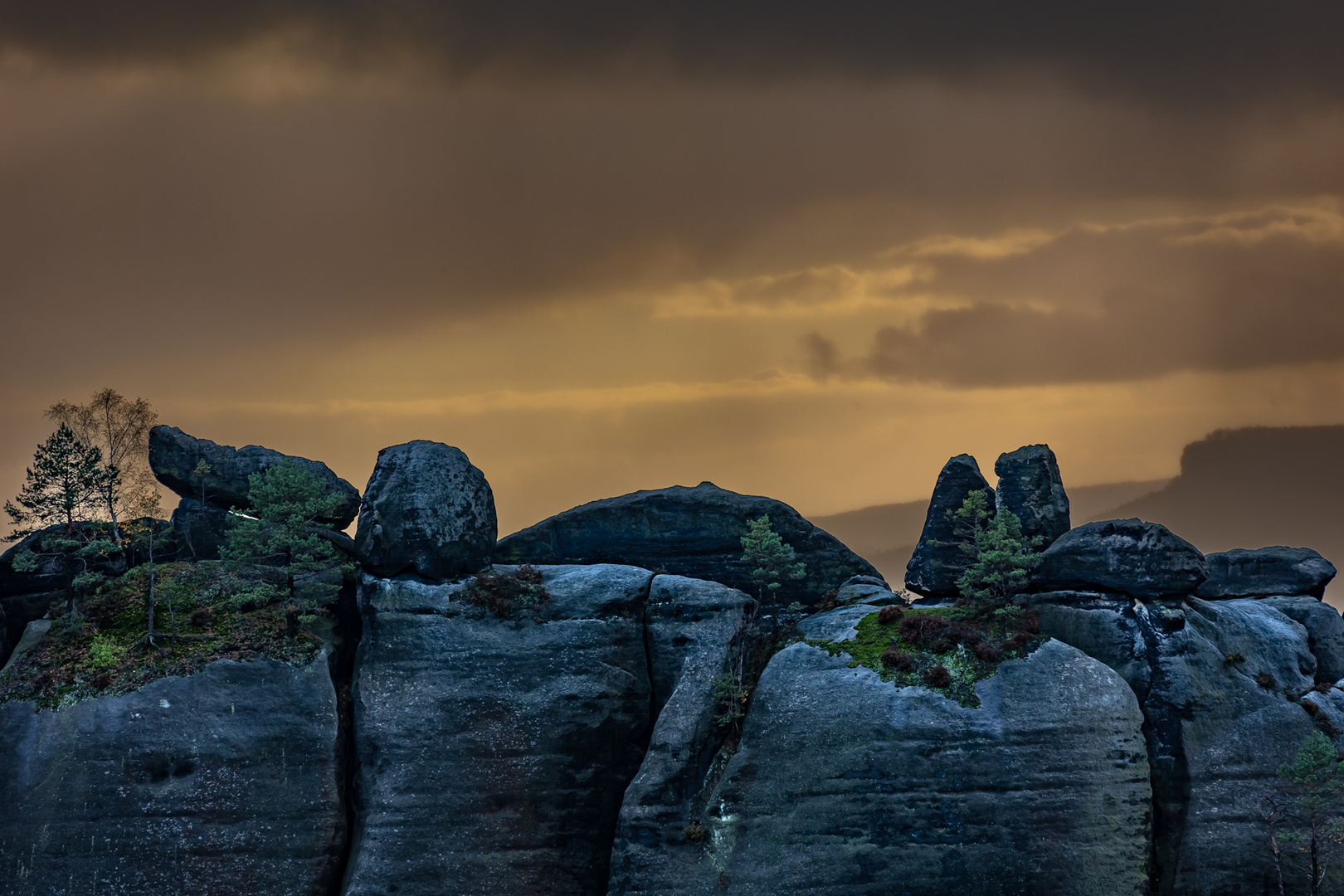 Blick vom Carolafelsen Elbsandsteingebirge