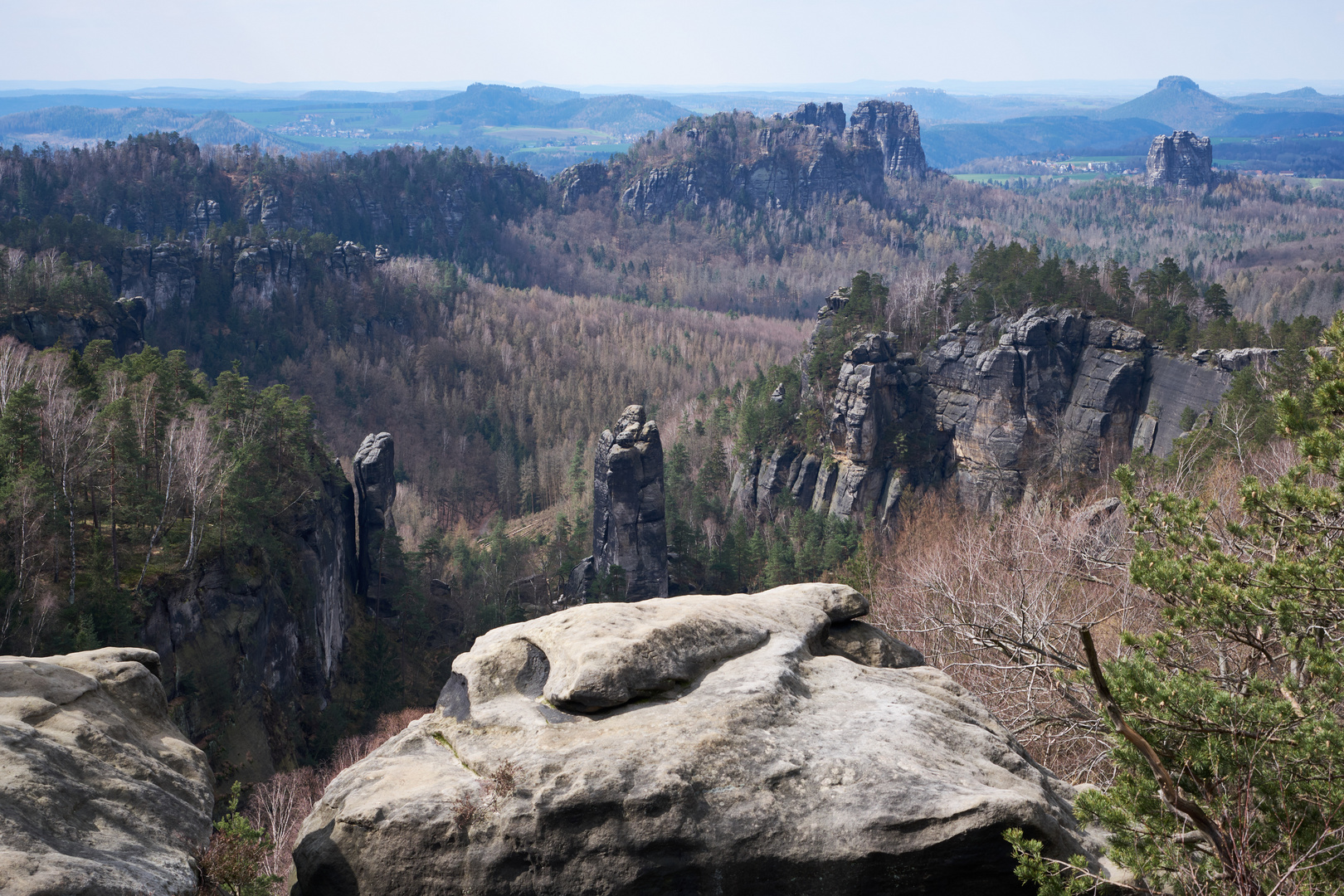 Blick vom Carolafelsen zu den Schrammsteinen