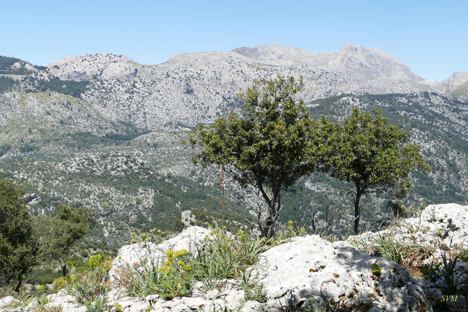 Blick vom Castell Alaro zum Puig major, dem höchsten Berg der Insel