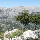 Blick vom Castell Alaro zum Puig major, dem höchsten Berg der Insel