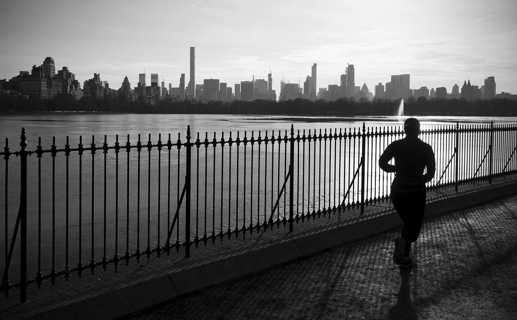 Blick vom Central Park auf New York Skyline 