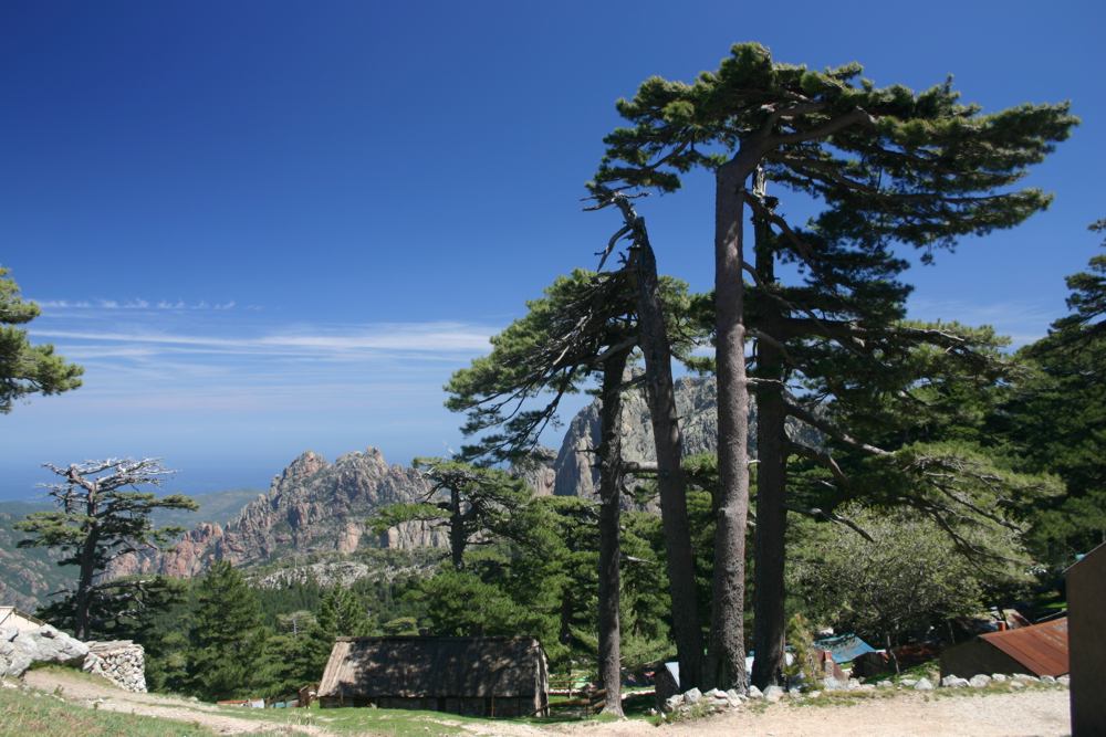 Blick vom Col de Bavella