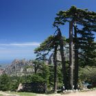 Blick vom Col de Bavella