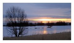 Blick vom Deich auf das Ijsselmeer – Onderdijk (NL)