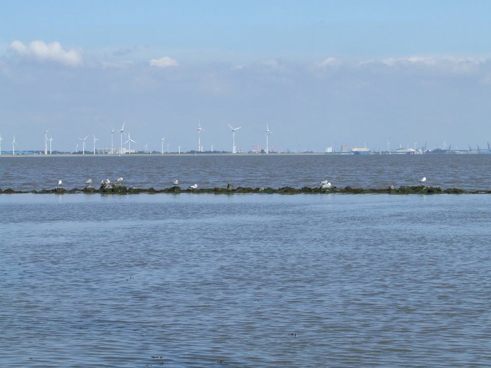 Blick vom Deich in Termunterzijl (NL) in Richtung Emden (D)