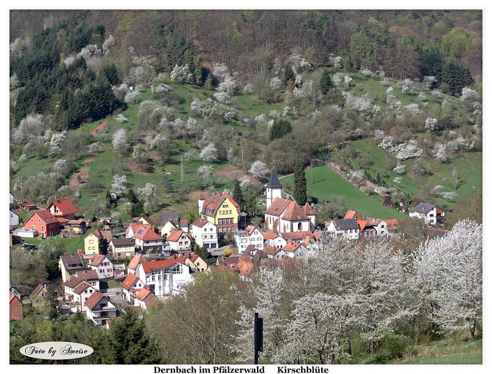 Blick Vom Dernbacher Haus Foto Bild Deutschland Europe
