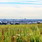 Blick vom Deusenberg auf Dortmund