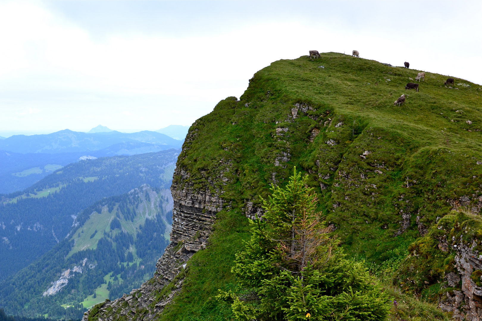 Blick vom Diedamskopf (2)