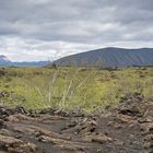 Blick vom Dimmuborgir zum Hverfjall