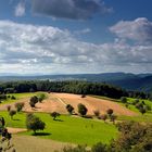 Blick vom Dinkelberg - Hohe Flum - Landkr. Lörrach