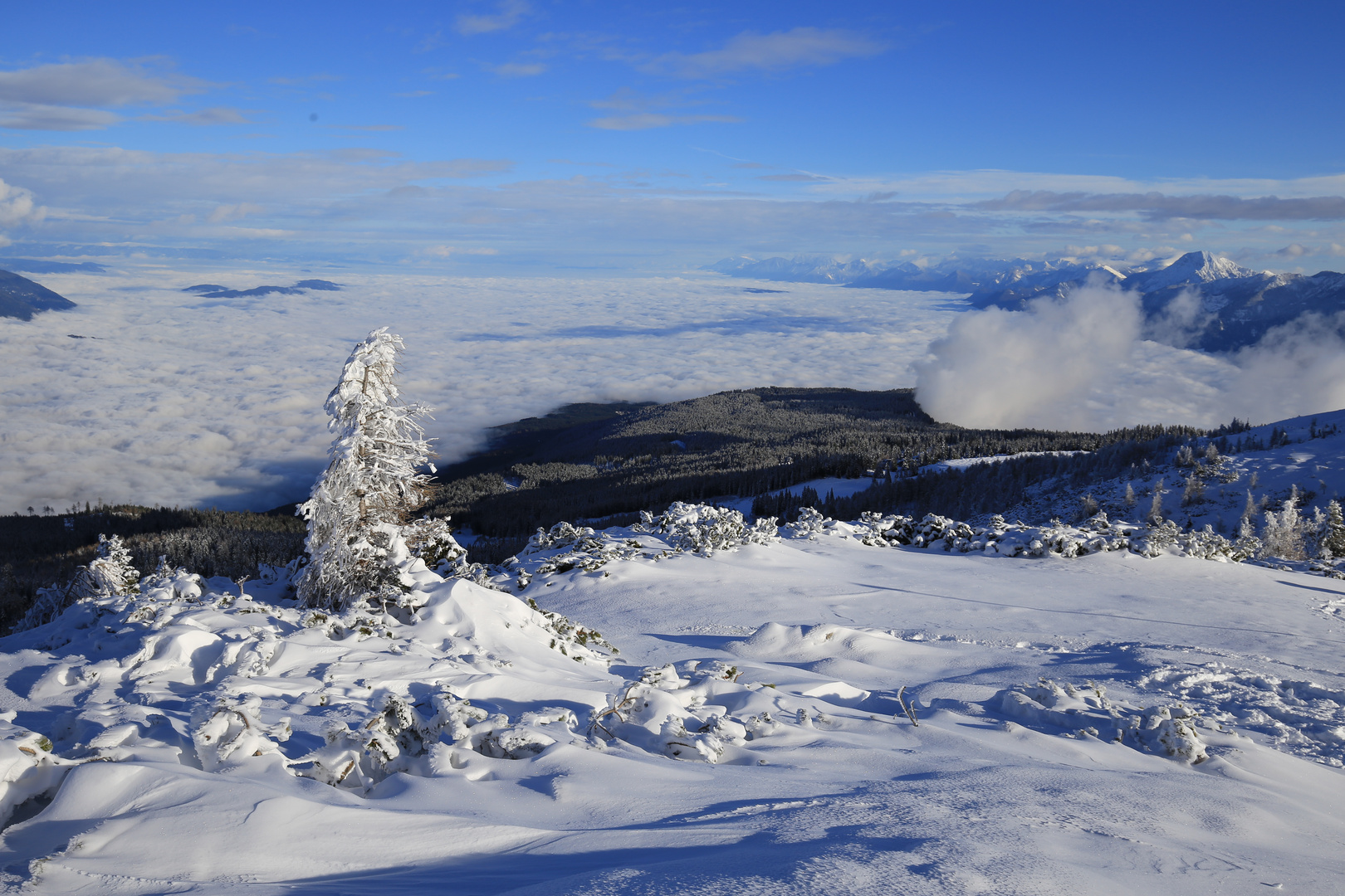 Blick vom Dobratsch