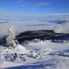 Blick vom Dobratsch