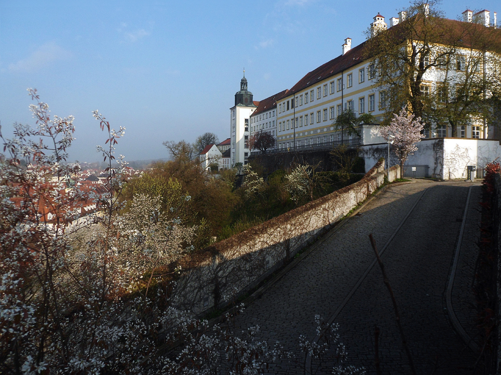 Blick vom Domberg Freising