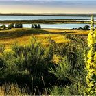 Blick vom Dornbusch nach Rügen