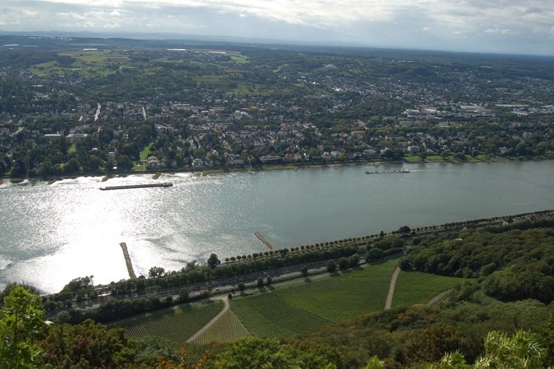 Blick vom Drachenfels auf den Rhein