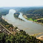 Blick vom Drachenfels auf den Rhein