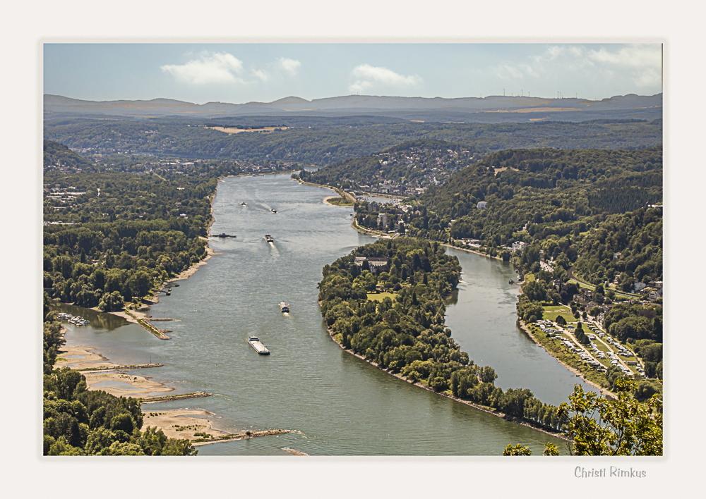 Blick vom Drachenfels über den Rhein