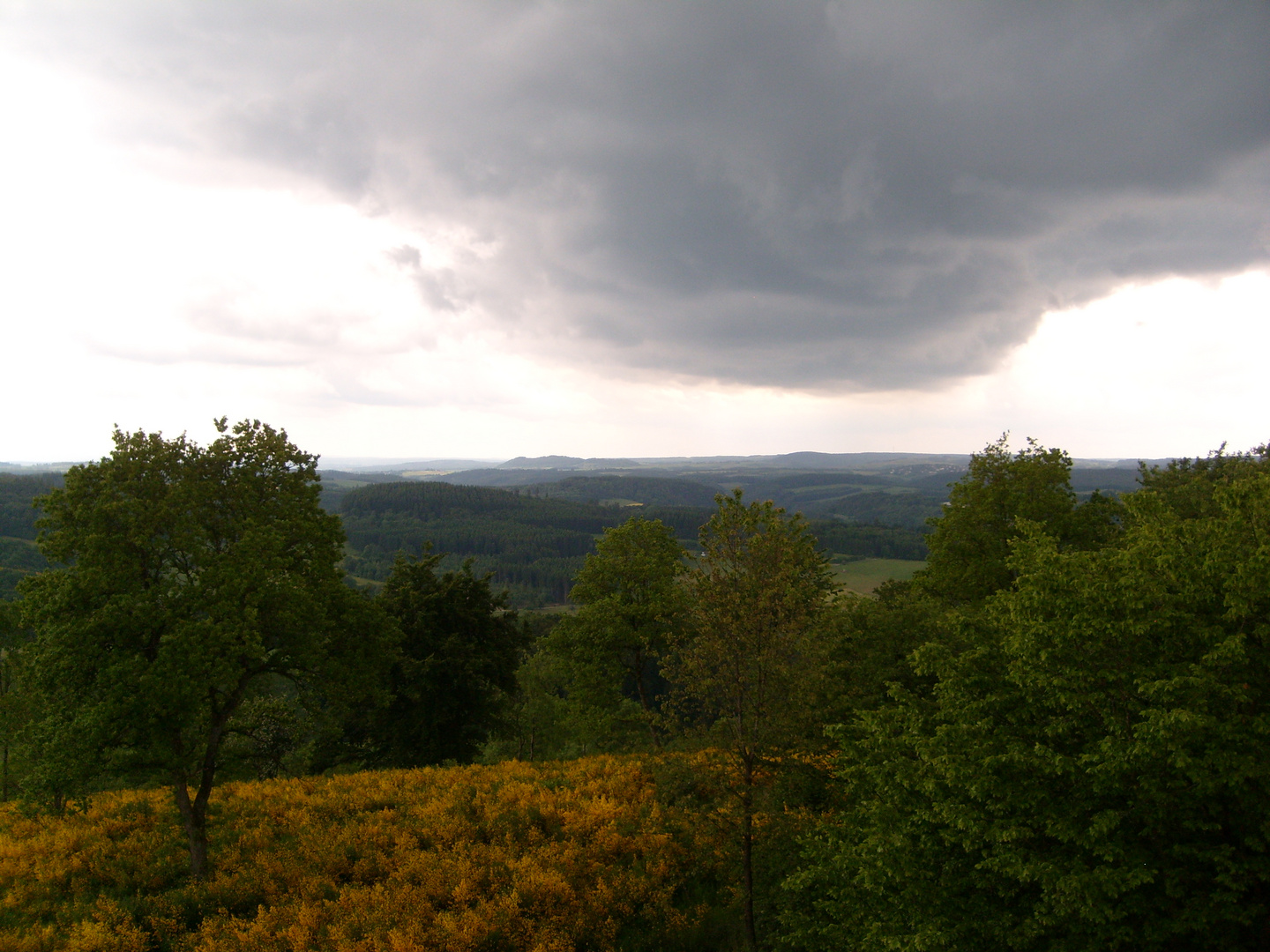 Blick vom Dronketurm