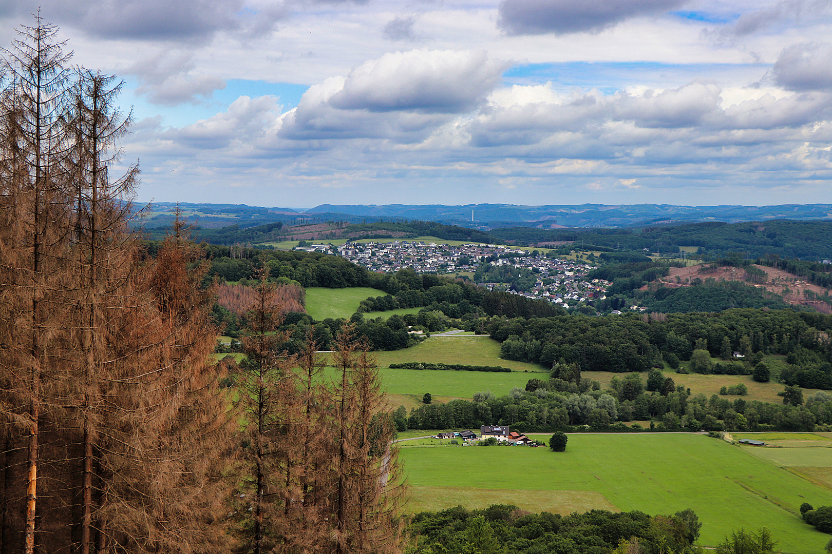 Blick vom Ebbe-Nordhang