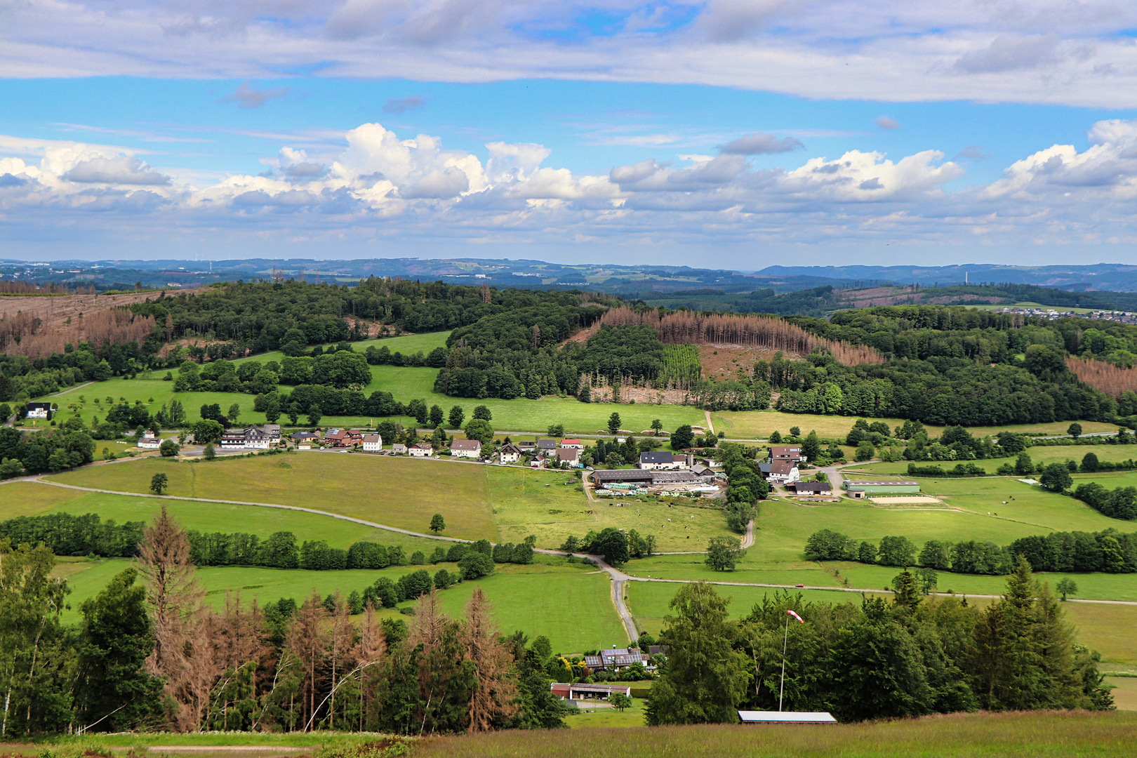 Blick vom Ebbe-Nordhang