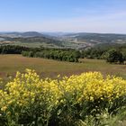 Blick vom Ellenbogen