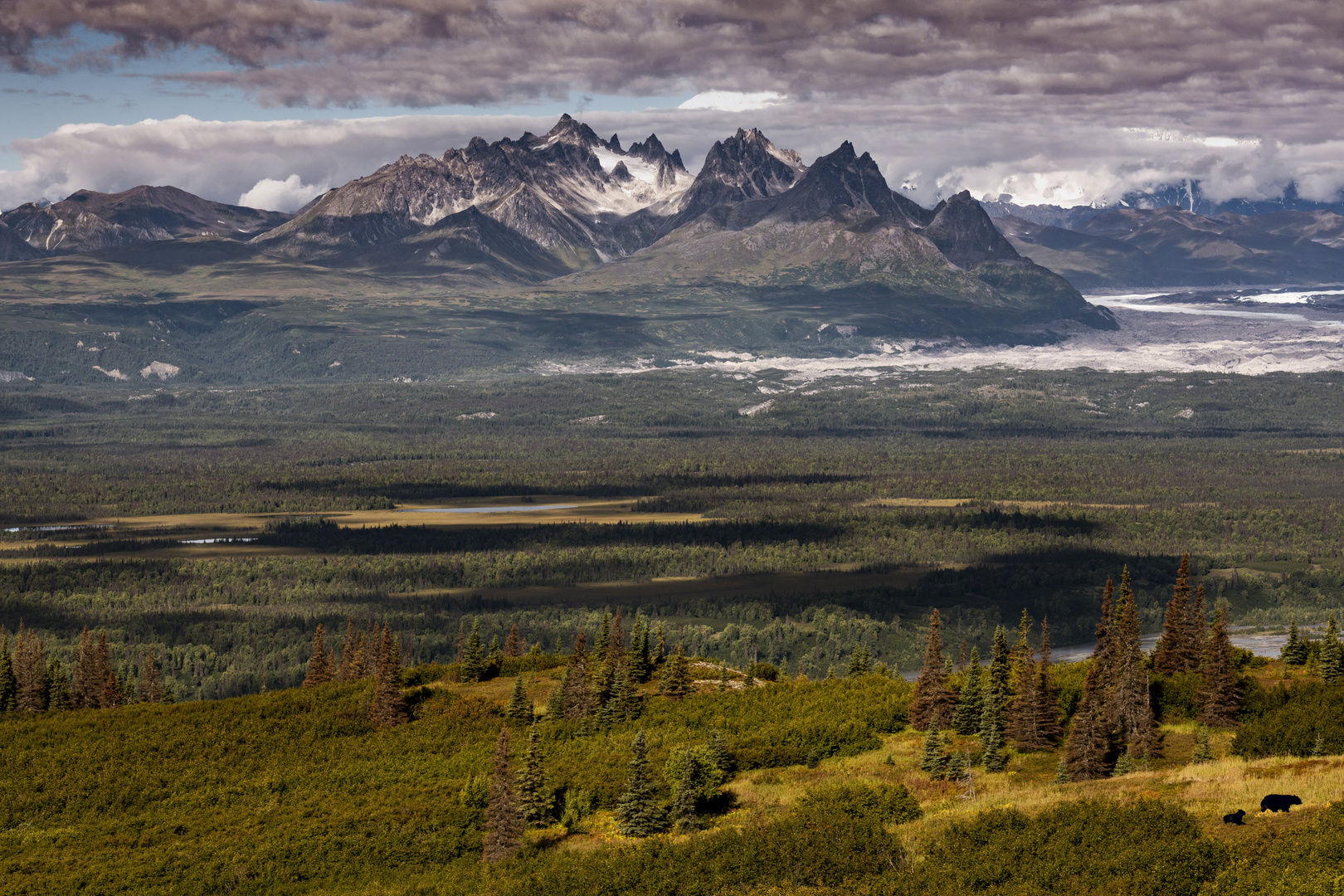 Blick vom Emine Hill Trailhead auf die Alaska Range...