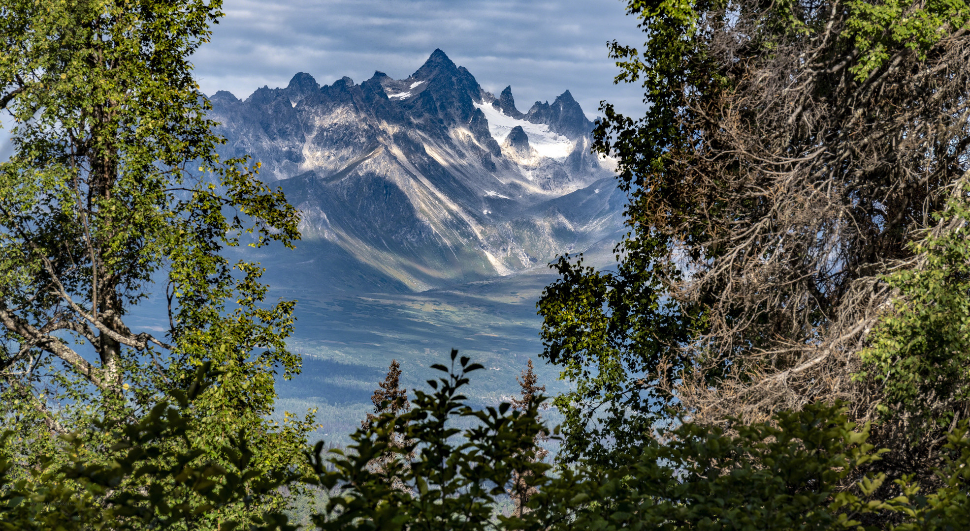 Blick vom Emine Trail auf die Alaska Range