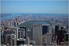 Blick vom Empire State Building auf den sommerlichen Central Park; 2012