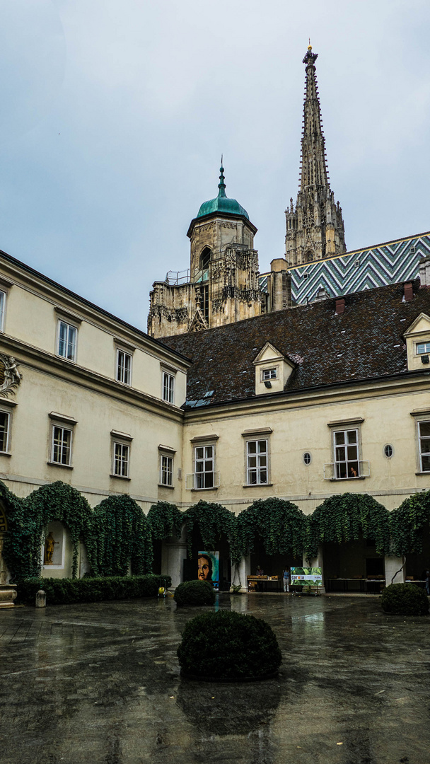 Blick vom Erzbischöflichen Palais auf den Steffl