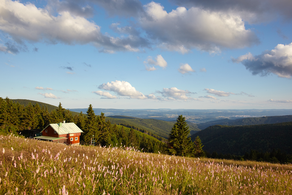 Blick vom Erzgebirgskamm