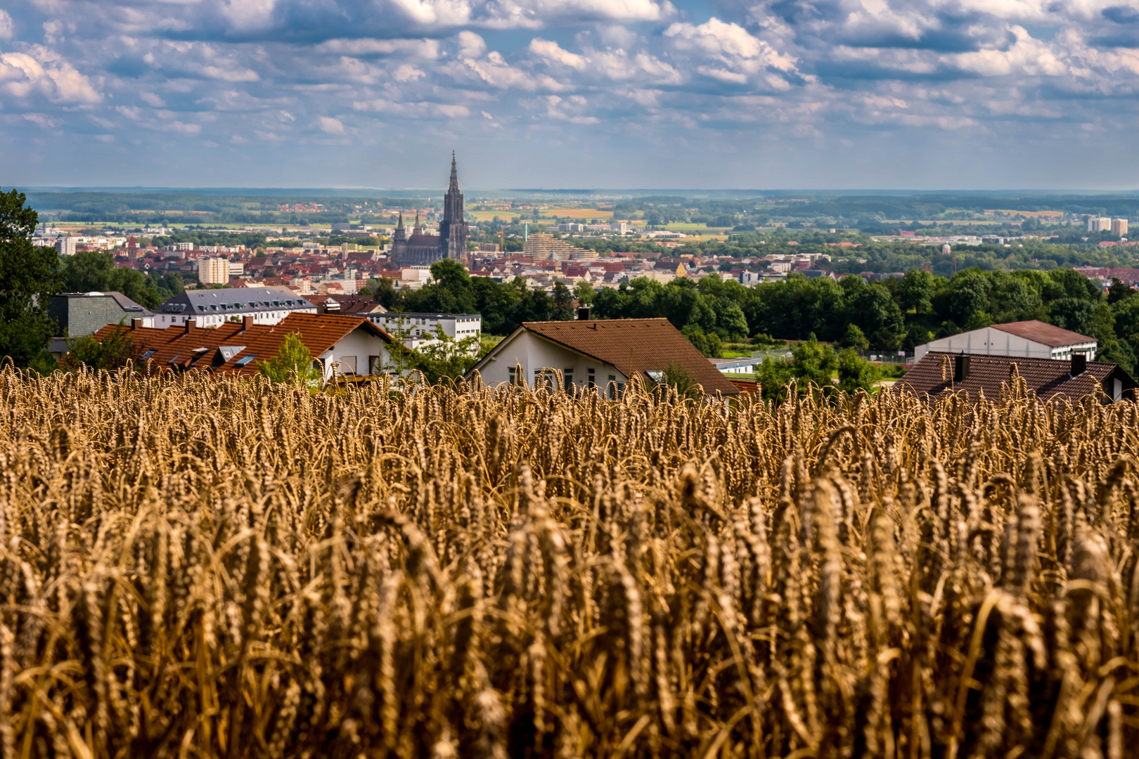 Blick vom Eselsberg auf Ulm