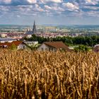 Blick vom Eselsberg auf Ulm