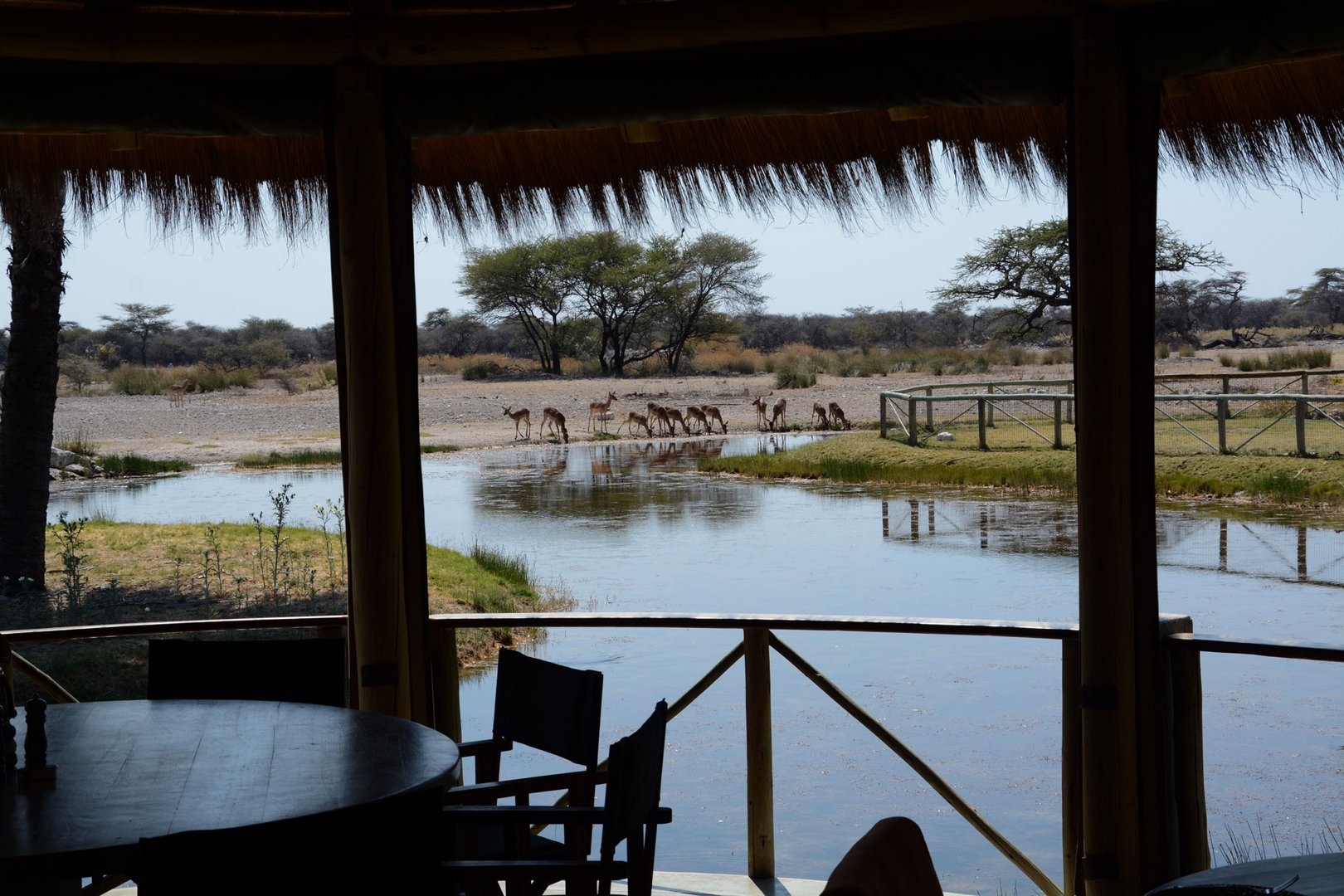 Blick vom Ess und Aufenthaltsraum der Onguma-Lodge