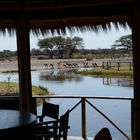 Blick vom Ess und Aufenthaltsraum der Onguma-Lodge