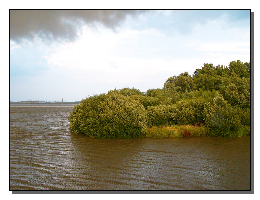 Blick vom Estesperrwerk in Richtung  Mühlenberger Loch. Im...