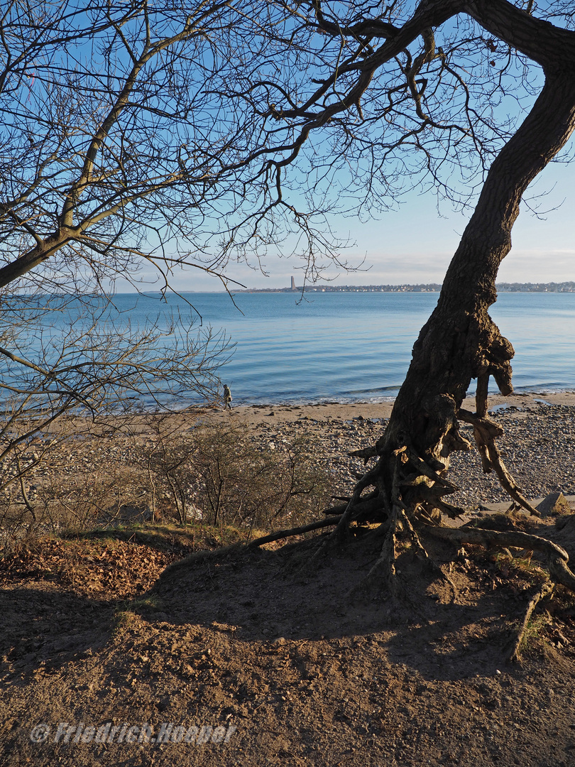 Blick vom Falckensteiner Ufer über die Förde