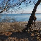 Blick vom Falckensteiner Ufer über die Förde