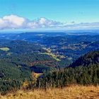 "Blick vom Feldberg"