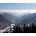 Blick vom Feldberg 2