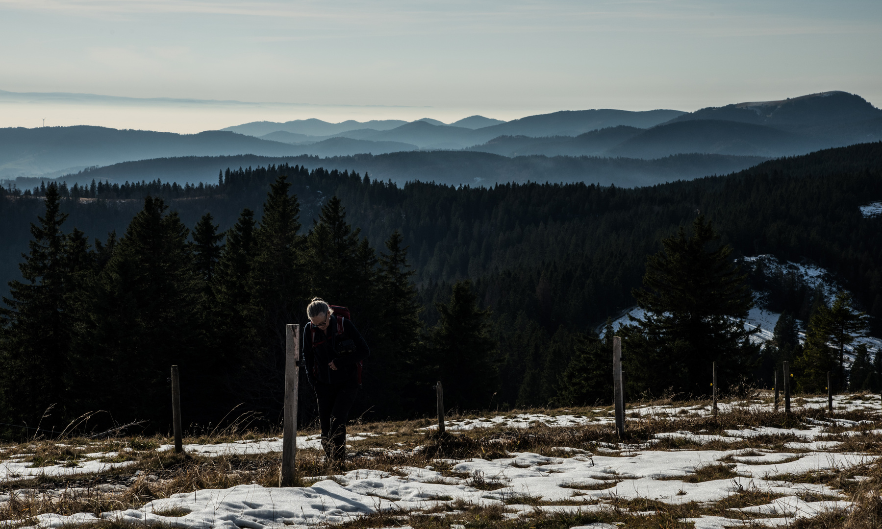 Blick vom Feldberg