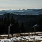 Blick vom Feldberg