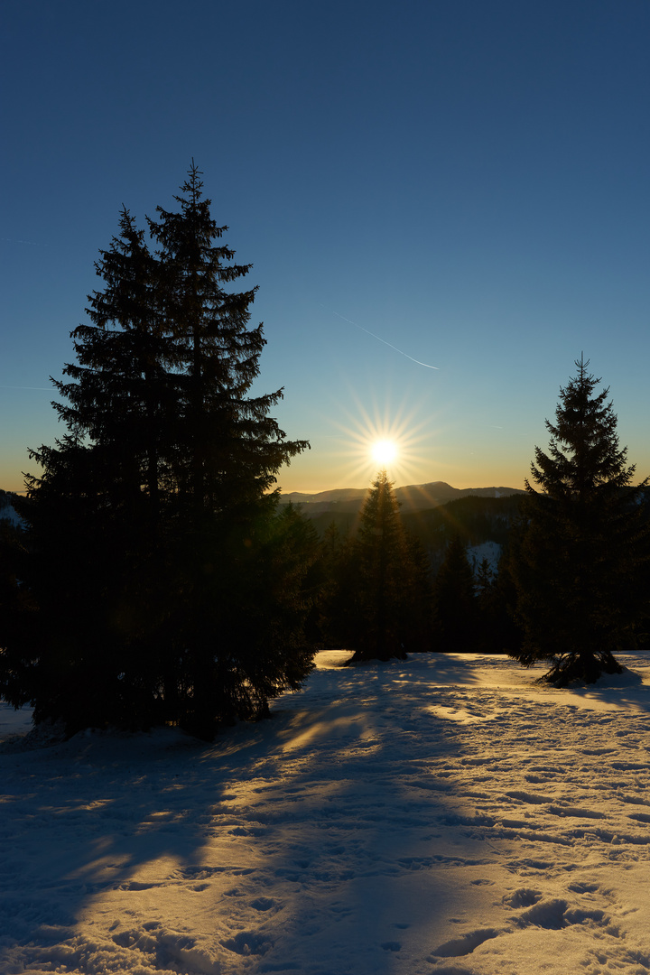 Blick vom Feldberg