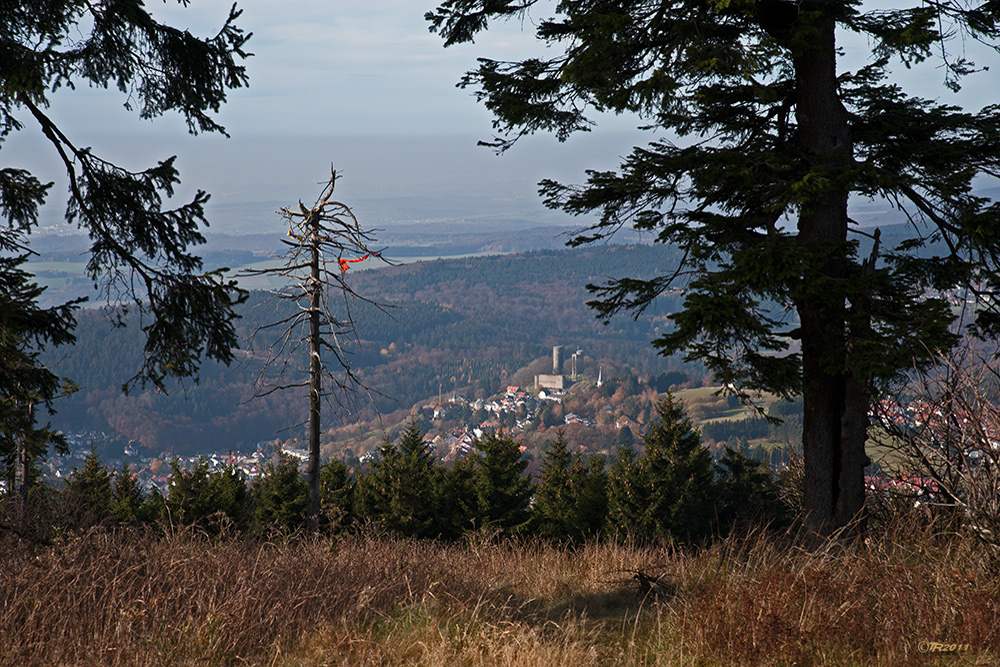 Blick vom Feldberg