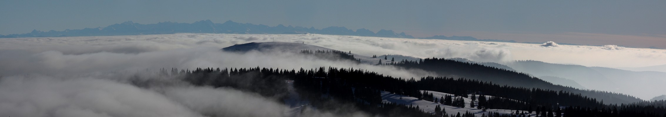 Blick vom Feldberg