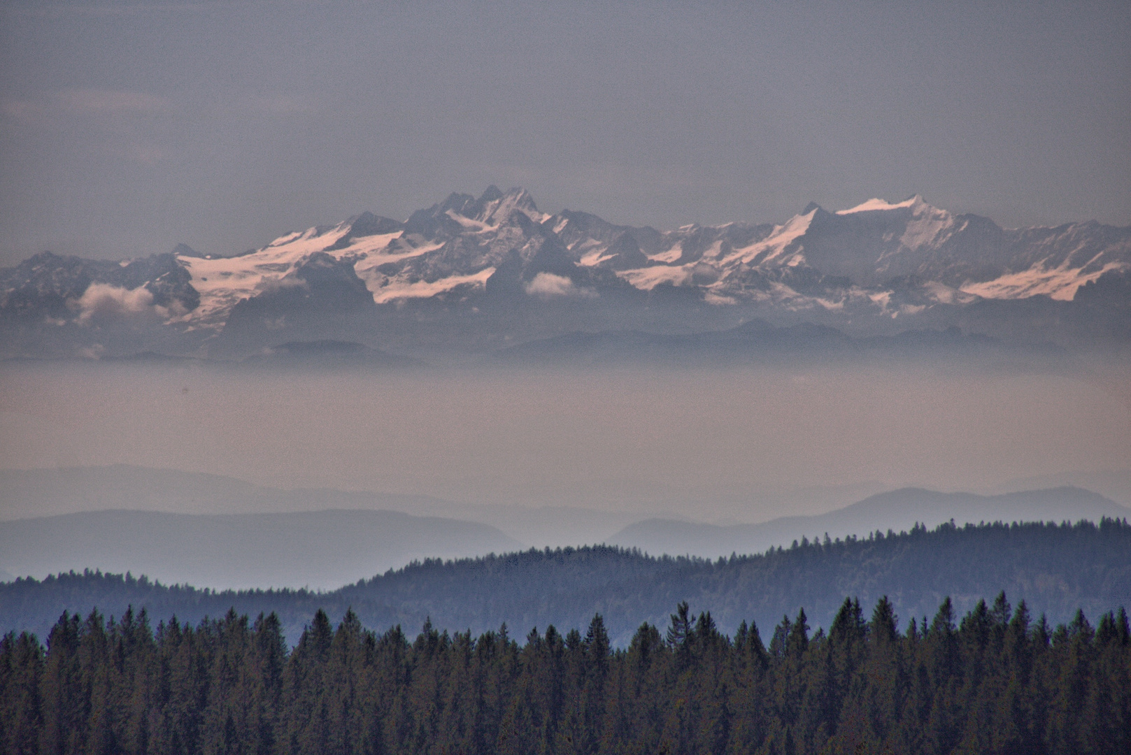 Blick vom Feldberg