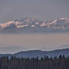 Blick vom Feldberg