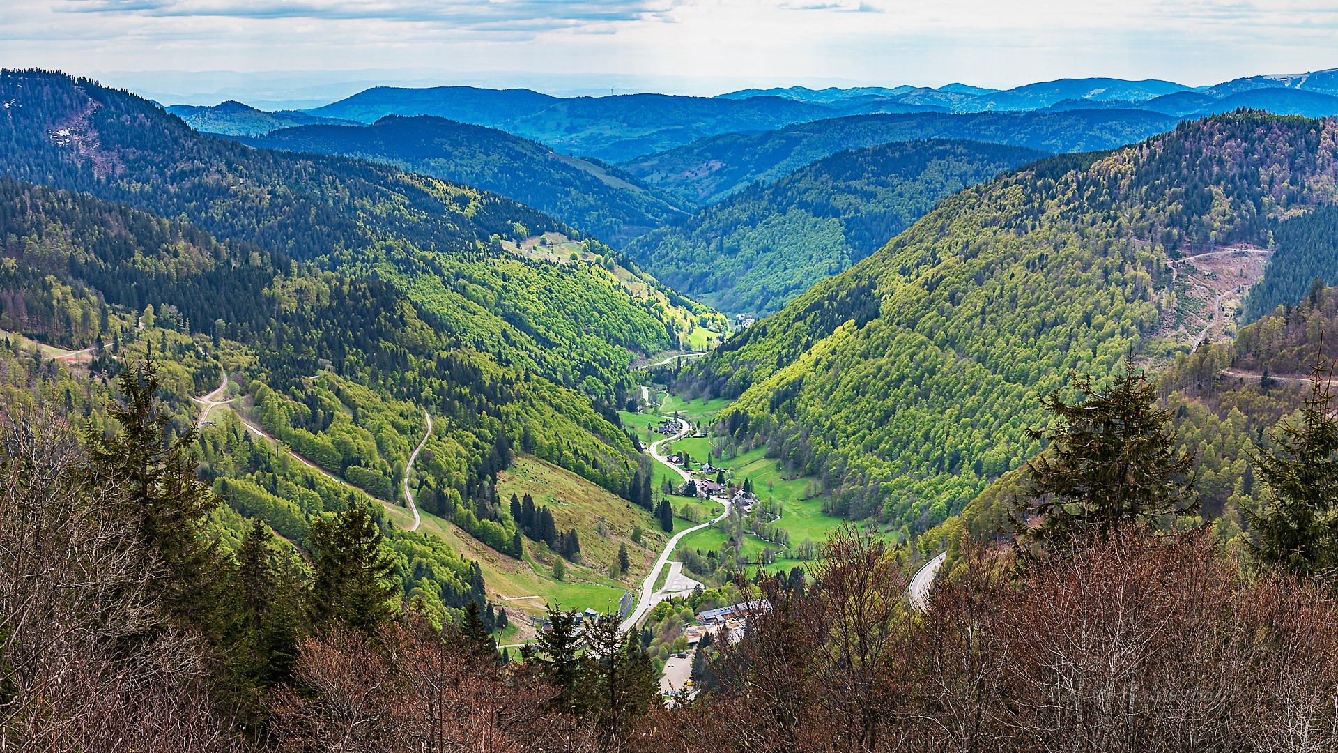 Blick vom Feldberg