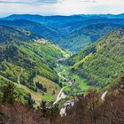 Blick vom Feldberg