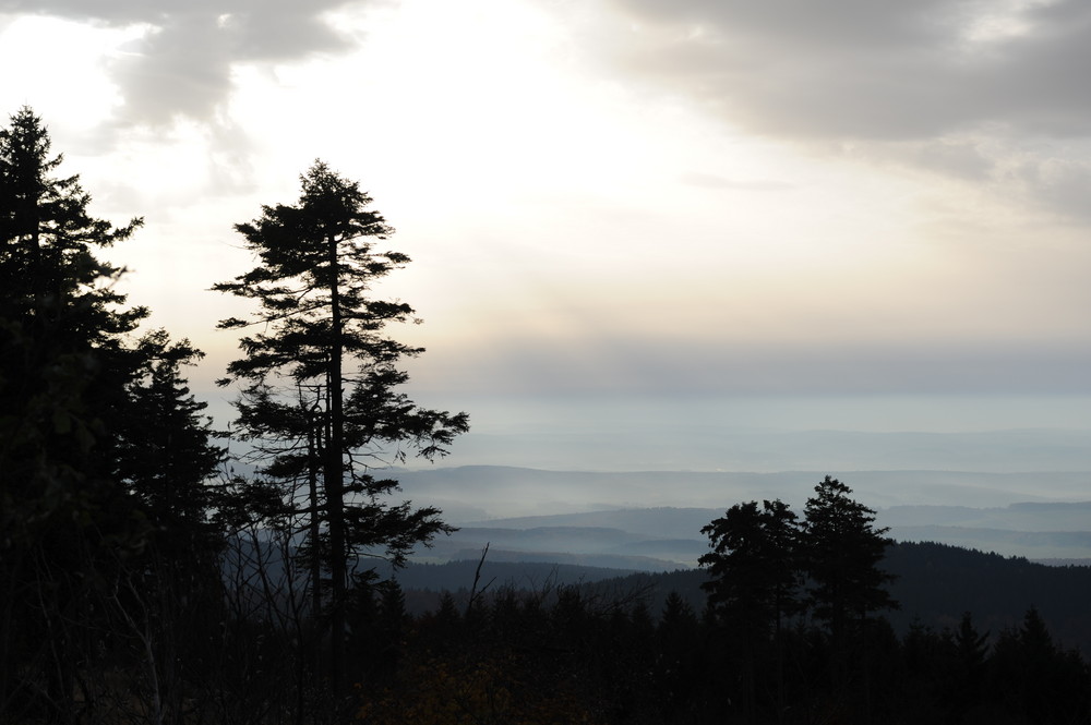 Blick vom Feldberg_2